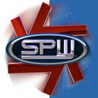 Speciality Power Windows